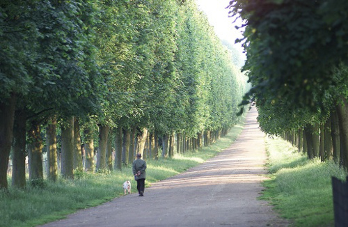 Versailles Gardens
