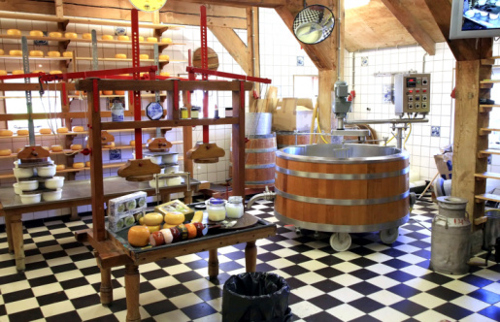 Netherlands Cheese Farm