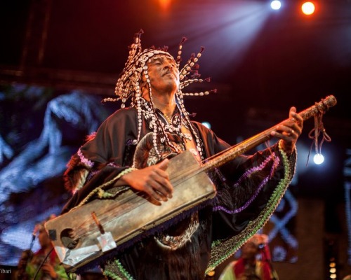 Gnaoua World Music Festival, Morocco