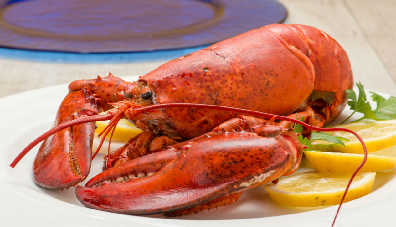 Florida lobster season