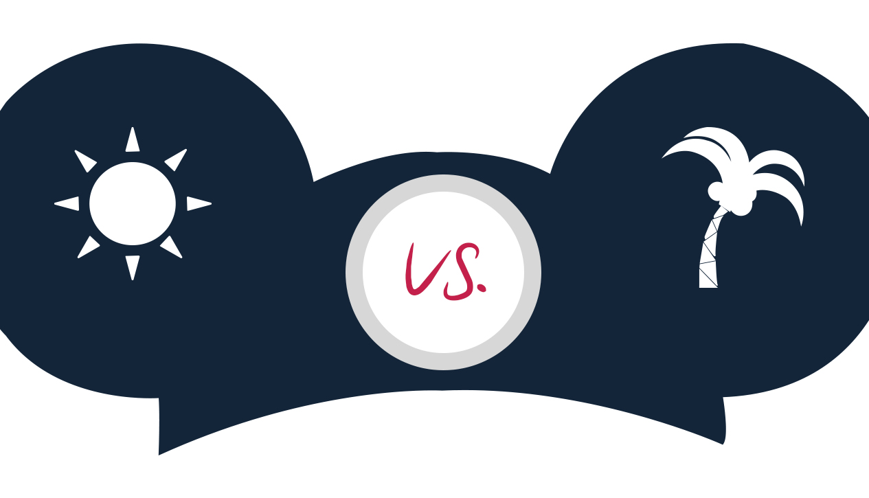 Disneyland vs Disney World comparison