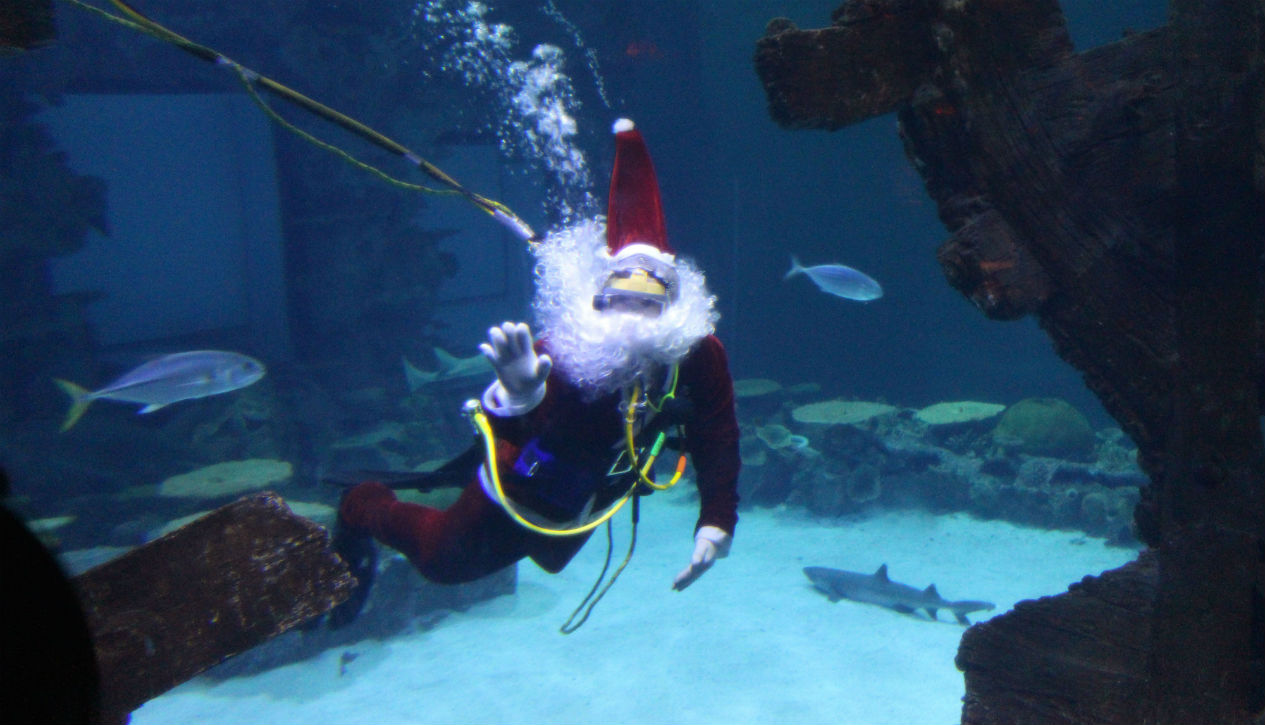 Scuba Santa at the Bellagio, Las Vegas