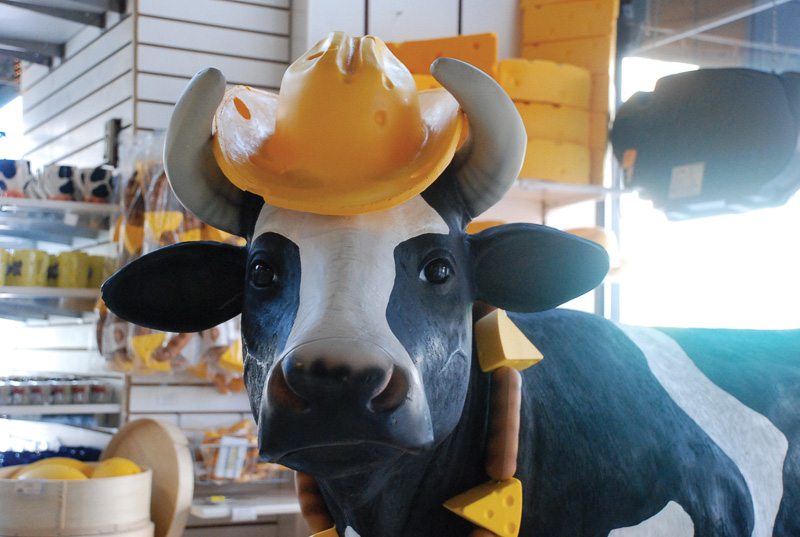 Orbitz-Signs You Were Born In Wisconsin-Visit Milwaukee-2