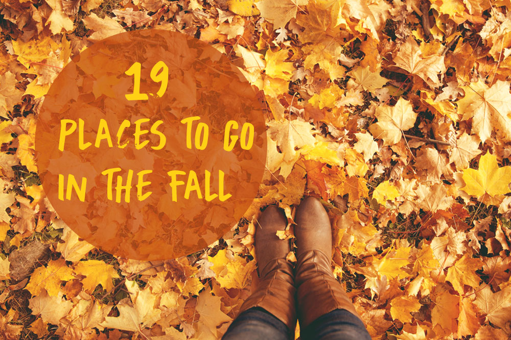 2016 fall events-featured