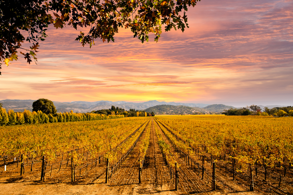 napa-valley