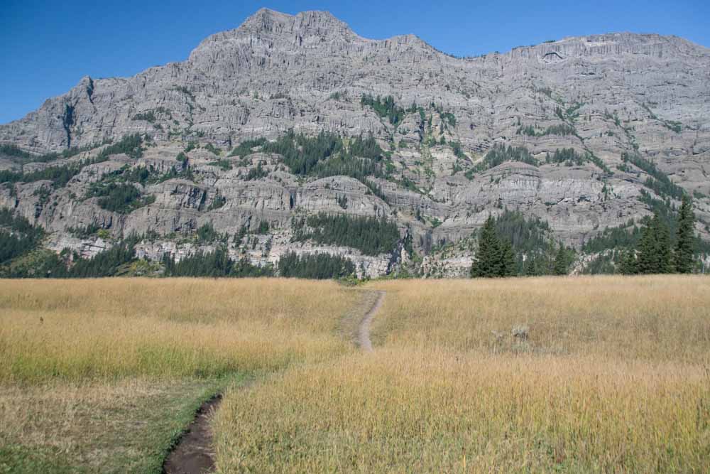 wyoming-photos-gettingstamped-20