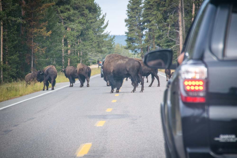 wyoming-photos-gettingstamped-8