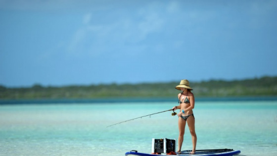 fishing, Bahamas, Caribbean