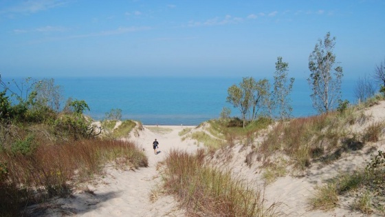 trover-indiana-state-dunes-Gizmo-Goes-West