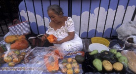 a women with fruits on a road in the village on Isla Mujeres near the city of Cancun on Yucatan in the Province Quintana Roo in Mexico in Central America. Mexico, Isla Mujeres, January 2009.