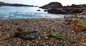 Fort Bragg, California, glass beach
