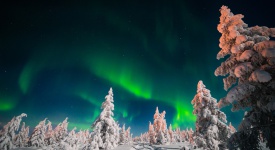 Winter night landscape with forest and polar northern light