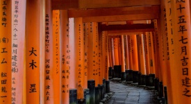 Temple in Kyoto | PHOTO: Laura Studarus