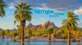 palm trees swaying in desert in front of lake