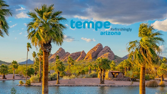 palm trees swaying in desert in front of lake